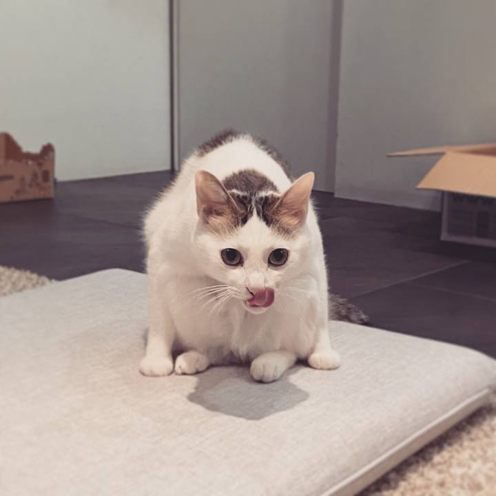 991d8f59 d66b 42ba af95 a0c672acafcb 1604650524253