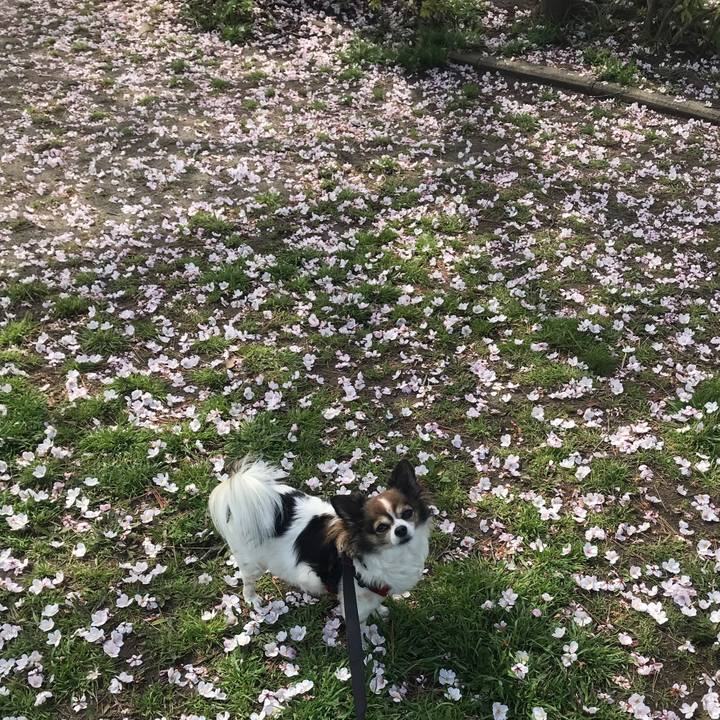 991dc8b3 3b17 46eb 9b1e a86ccf0698b7 1648605674254