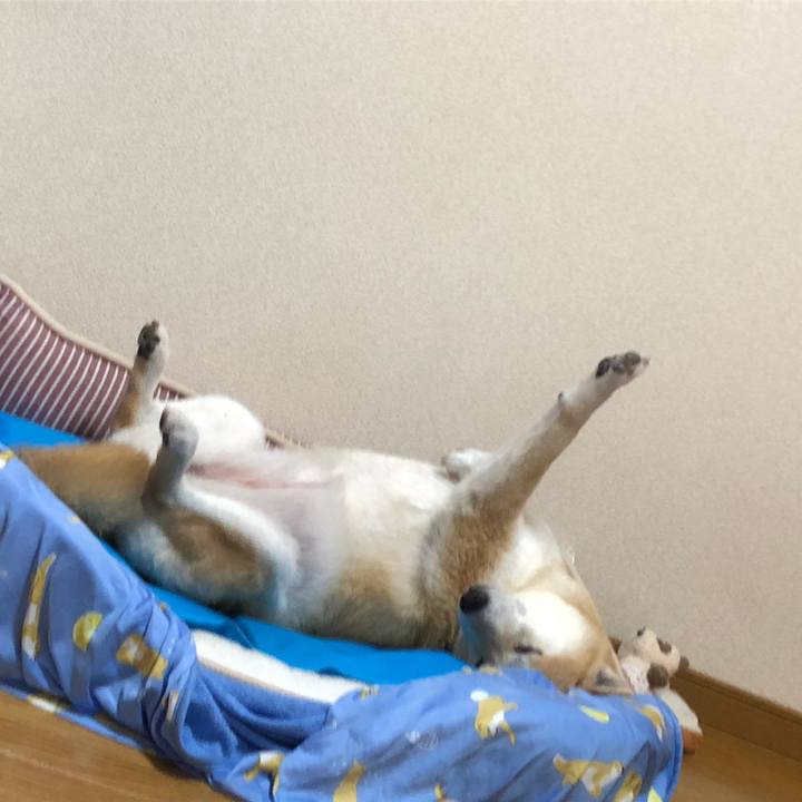 991dd454 9aba 49b0 9212 08cbdeca3ac4 1592802538787