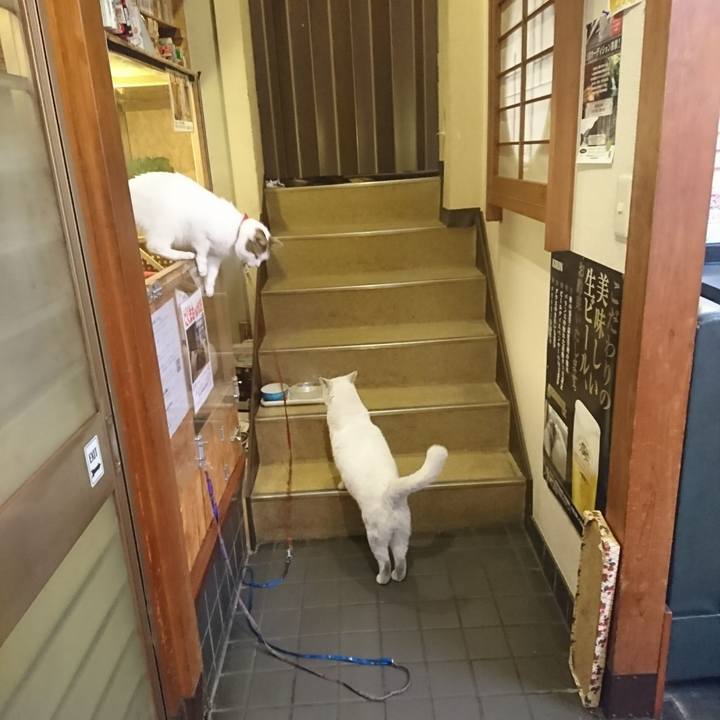 991dec31 26c7 4e56 8bf4 fe86d69b4f7e 1542106349652