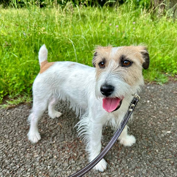 991e1380 88d6 4e04 a32f c796599ca5b0 1716561311110