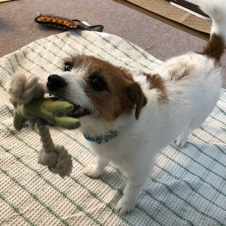 991e4113 5385 4e87 807e 35ca7f243bca 1569837065807