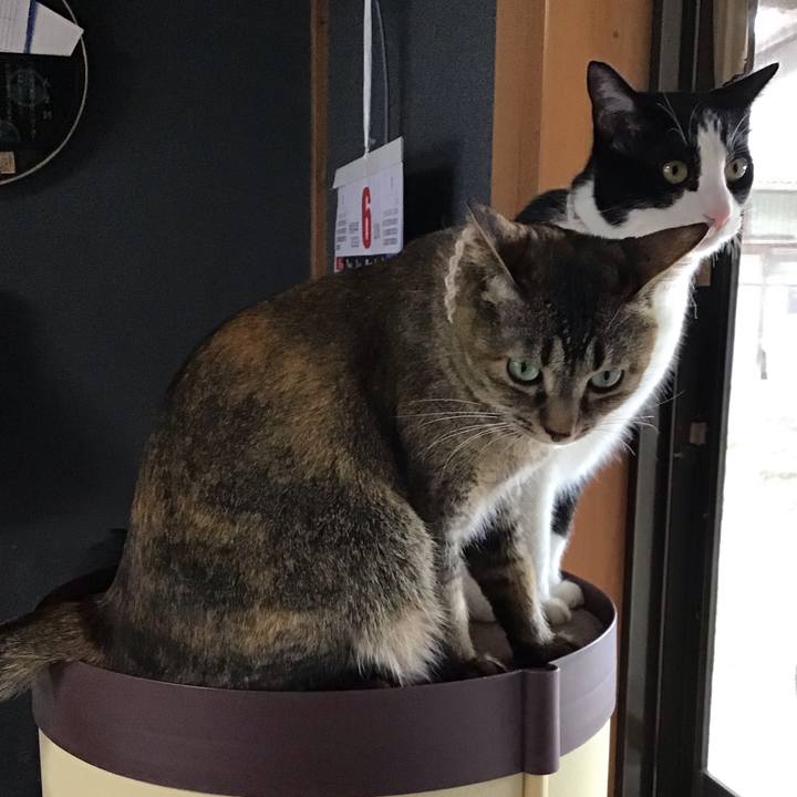 991e4a9d 00bb 4954 9851 946c7d3504eb 1654664624799