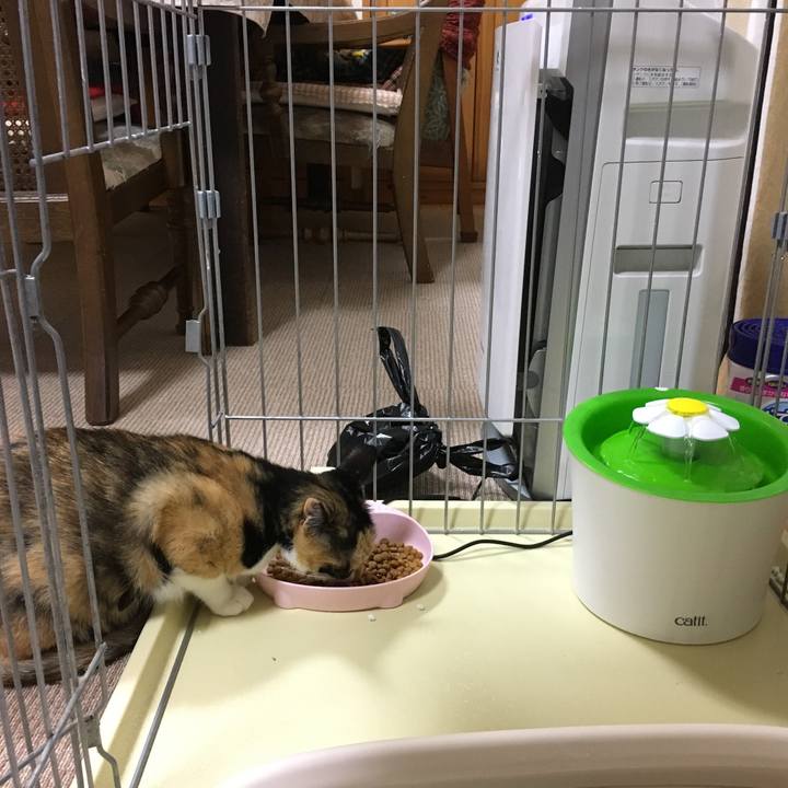 991e4e50 08d4 4d45 8b81 77f5e695ae3f 1519475901982