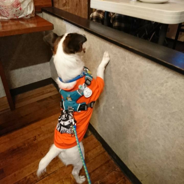 991e5973 7b75 4069 a2cd 0f1ae202b96d 1572175846292