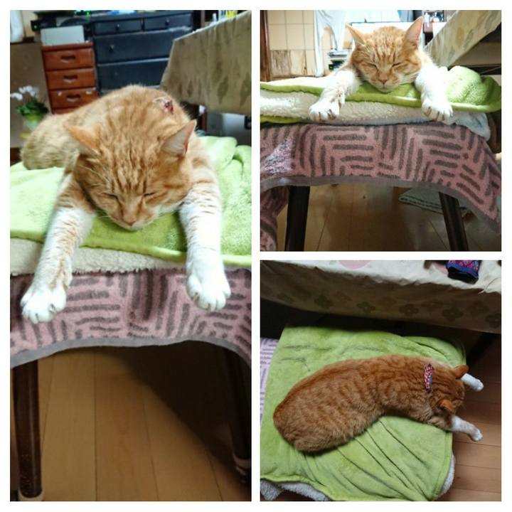 991e70ee bbce 4899 81b4 de2bf876147b 1608115065480