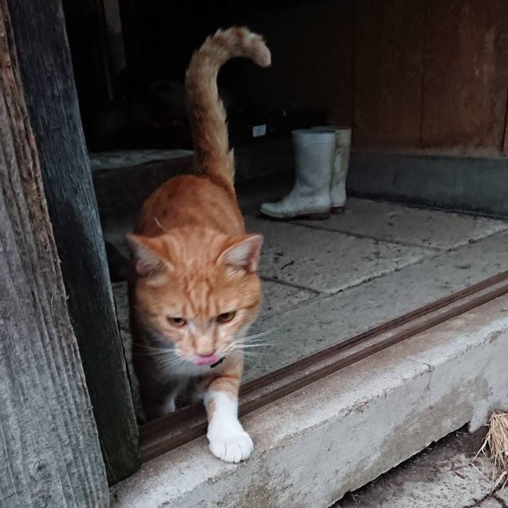 991ed977 9837 42a8 ade7 a97ac81a3fc9 1568192847363