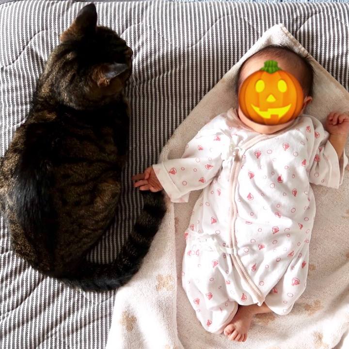 991f0ced 1bfa 4698 9e2a b5d733942de2 1540296588087