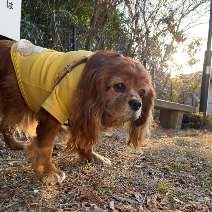 991f1090 7f07 4a7b 8a2d 2510ebd51d76 1737766369164