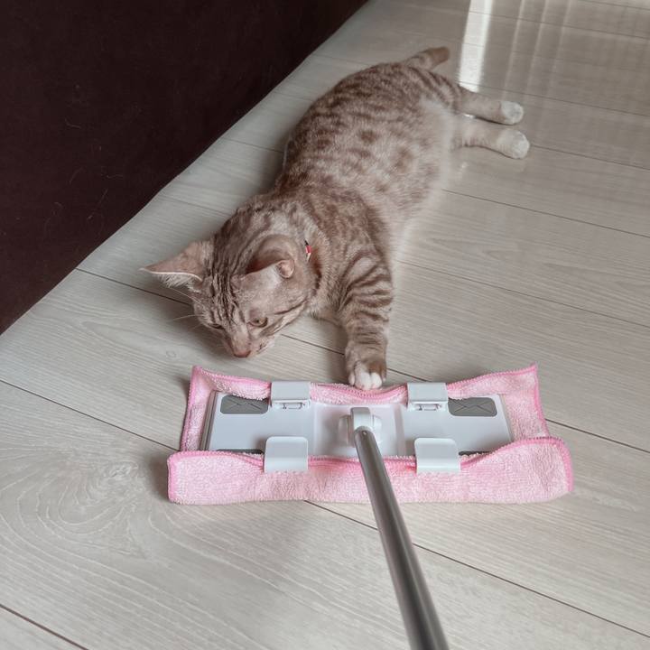 991f253a 01dd 4167 a12b 8c7ceec35c70 1658626992163