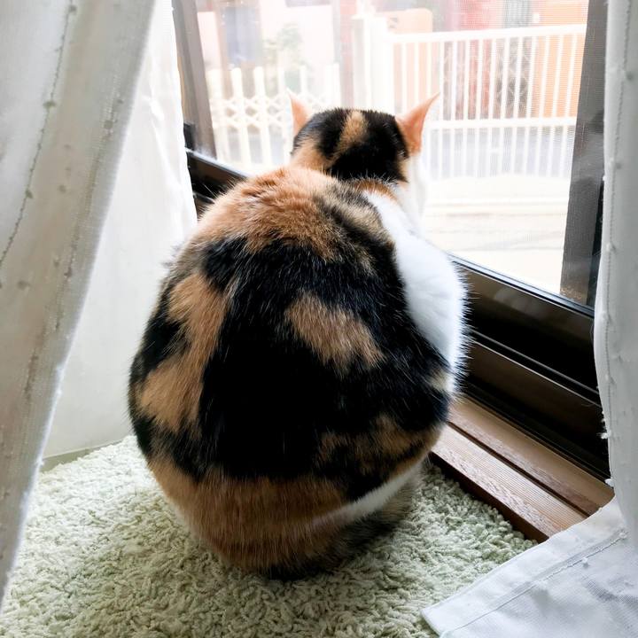 991f276a 90d8 414d 8e92 fcc054ba2a44 1516767629234