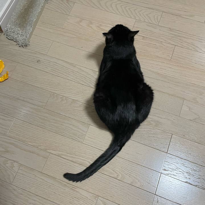 991f7c3c 65b1 423d a2b7 c8533ef9bc0a 1750075549467