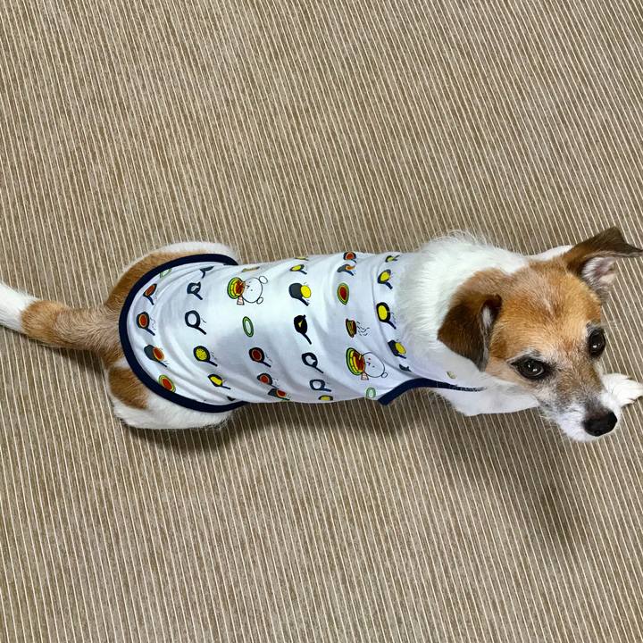 991f81d1 6d19 475f a818 6cc0076cf795 1567317674871