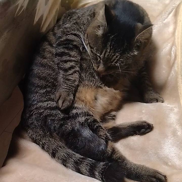 991f8e65 4da5 471b ae48 ccacd3fbcf3c 1707127962292