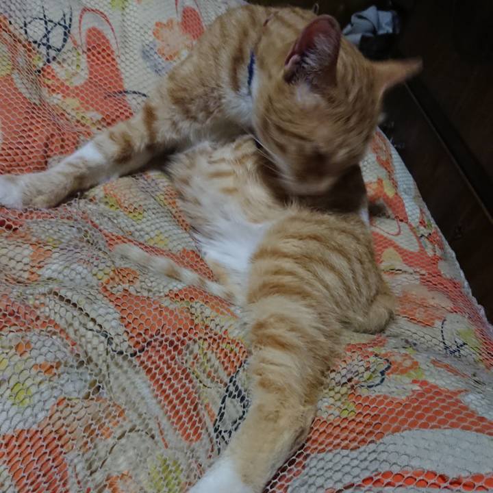 991fae66 20c7 48a2 89c2 c1c1102003c9 1561901711138