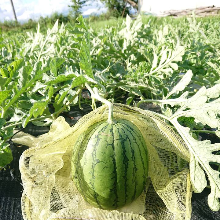 991fb38a 67fb 4af3 8ece 7ec4a012a5dd 1594541803566