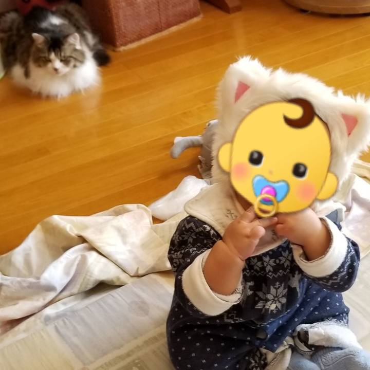 991fc982 8d5a 4214 a81c 43249d2bad6f 1573182897104