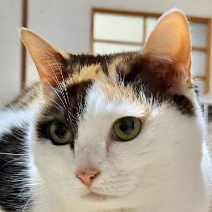 992008b2 bd50 4c7c a2d8 c5c6a7bde38b 1742868630071