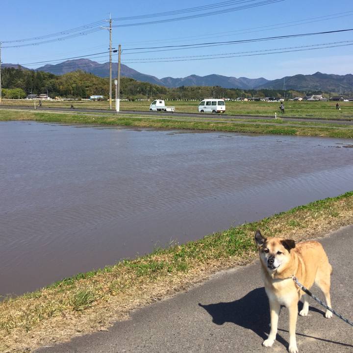 99201f79 a9e0 4c16 928b da12e37ded8c 1587976081906