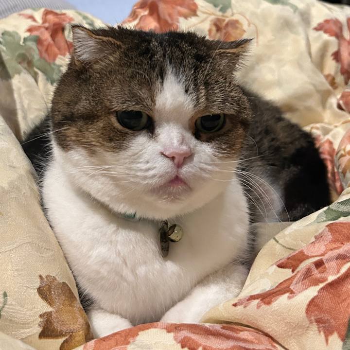 99202c99 cf6c 4a35 82e4 5d3523144e86 1771879478889