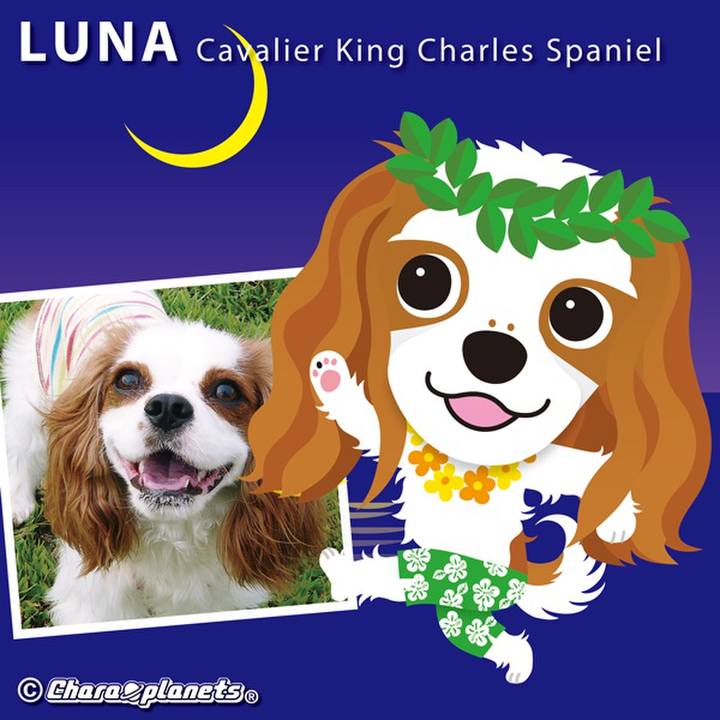 99204938 cfb7 4cac be32 6012eeed2c97 1566428574540