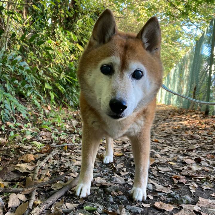 9920533b 9d89 4a06 94d6 b579e552509b 1728864043979