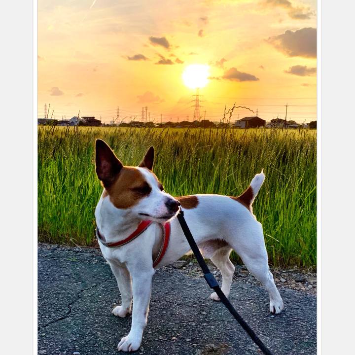 992056fb e163 417f 9c82 c1ed5bb6e9ca 1558271429059