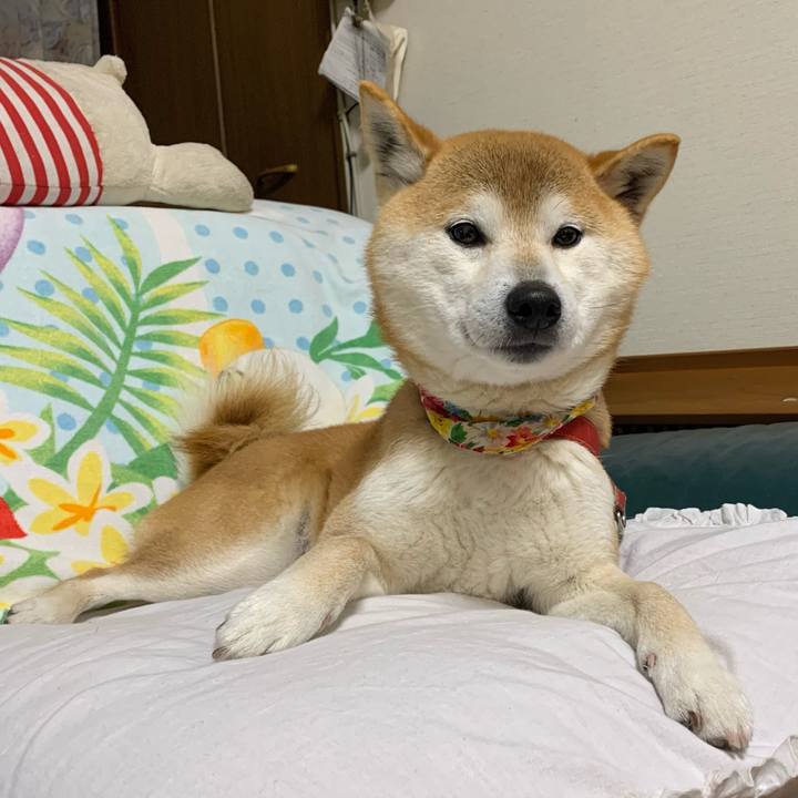 992058d3 4998 421e 8e46 209ff13f62b8 1615890343486