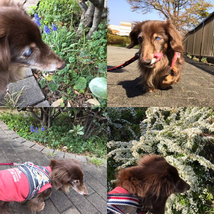 99206426 3a7b 4284 943f 56b958636895 1554539410278