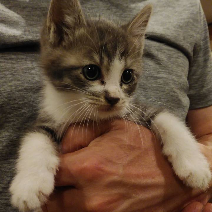 99207ab3 8a67 47dc 88c4 2f5eaeae834f 1748165536225