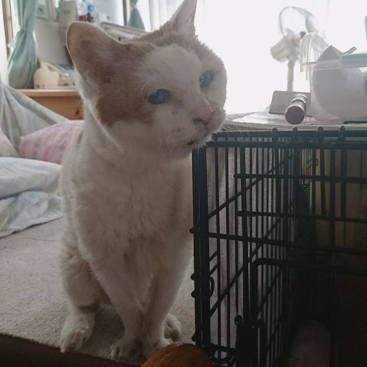 9920830d 9b1c 4435 97c9 93db6078e223 1623651752497