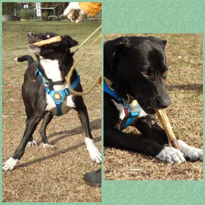 9920888e f3a2 40b6 bd73 a9a63ca92e1b 1615507057576