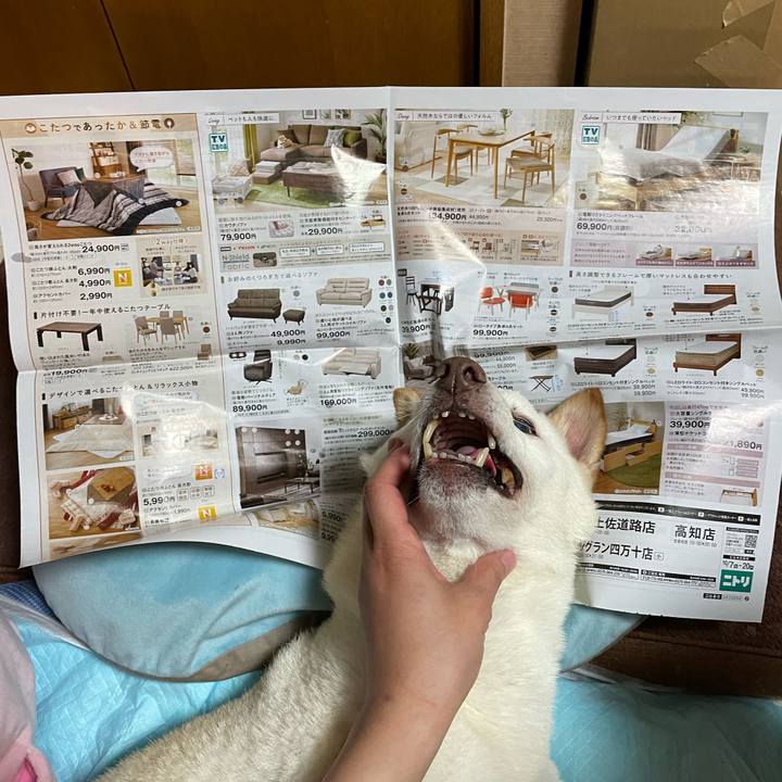 99209ec8 3ec0 451a ae5a f24134789ea6 1665572211802