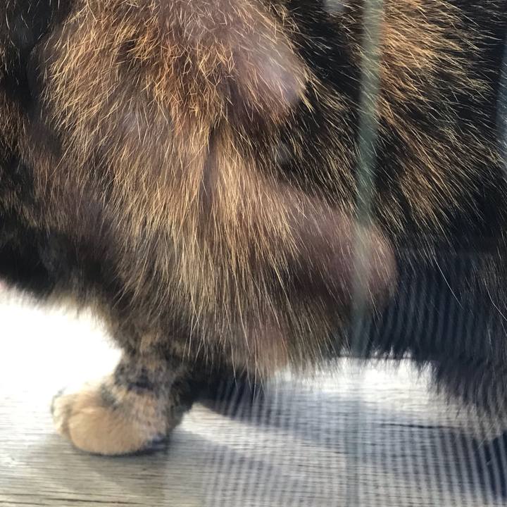 9920f701 9ae3 4b91 92e3 2b9ff3253ce9 1614822851204