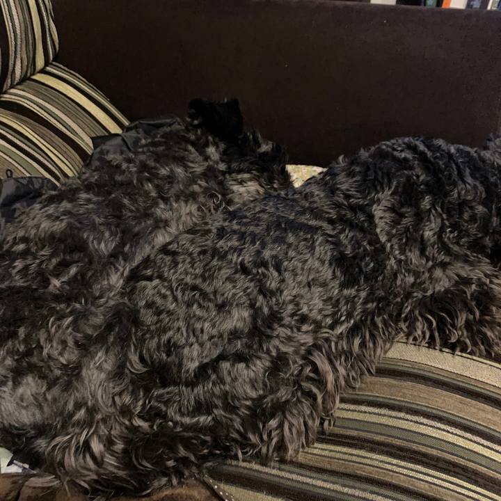 99212586 475c 4bc4 9d22 9dbf3a63354f 1615714947268