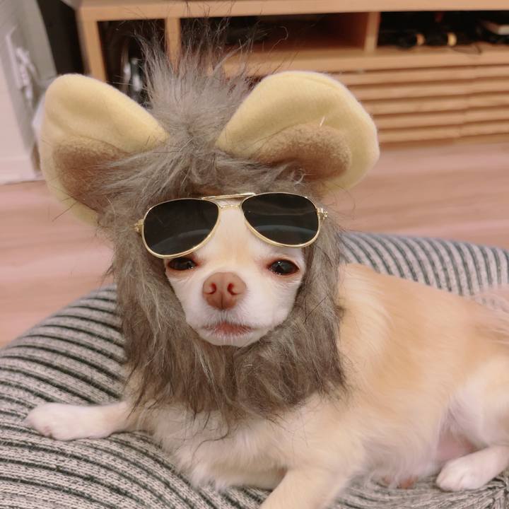 99215a5d bd40 4e44 9b16 3847b61dc9a3 1698833469418