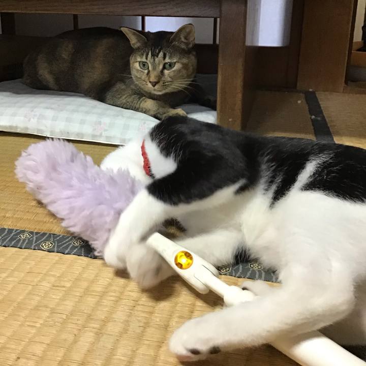 99217d80 d791 4022 aa65 fbaac41bac97 1628475082257