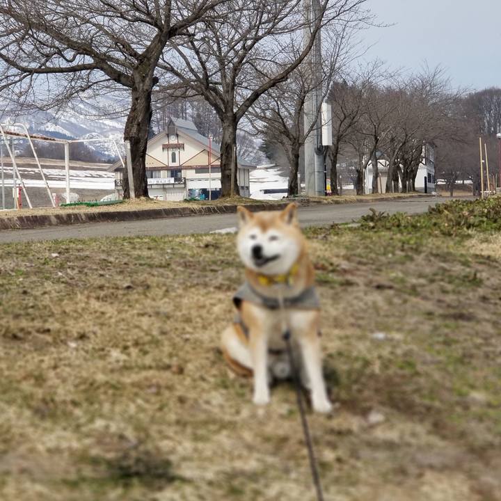 9921995e f095 496e 9e3c 248814405b5b 1679027525482