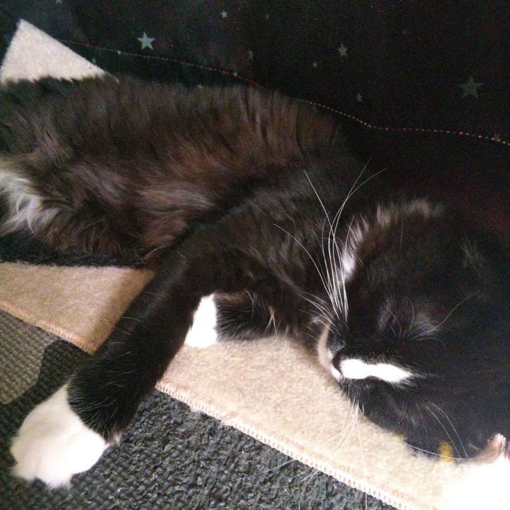 99220d95 31fc 49e3 ab47 4a89f46c9175 1645764752647