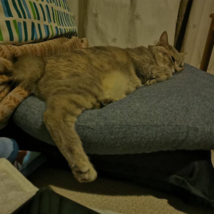 992223dd c0b8 49ad a483 d1a168fcc251 1622301765524