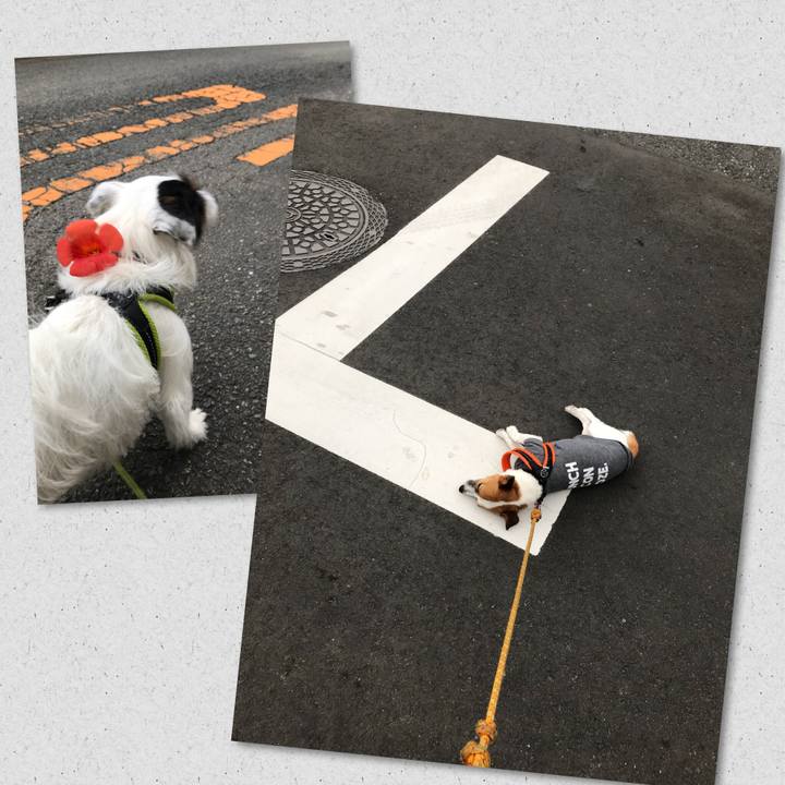 99224069 42c1 40fc 8c84 962b67256a5e 1530696255632