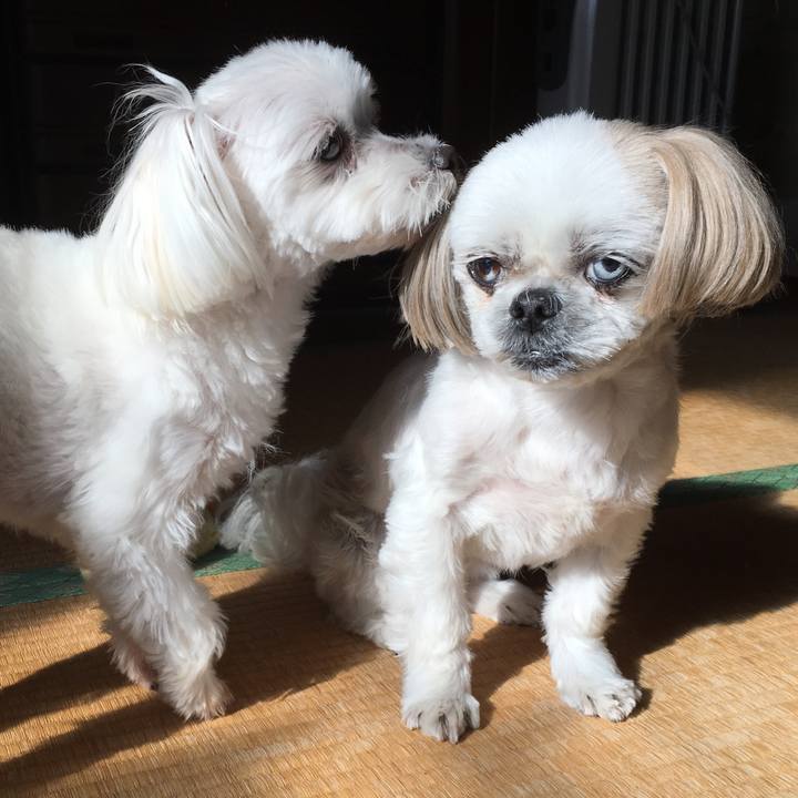 992250da fc1a 42fc 8820 42d433c8304c 1543490600957