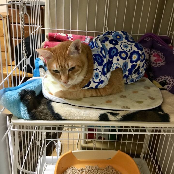 99225943 dd2d 431f 8177 e9a4fcb6c5c9 1521026728213