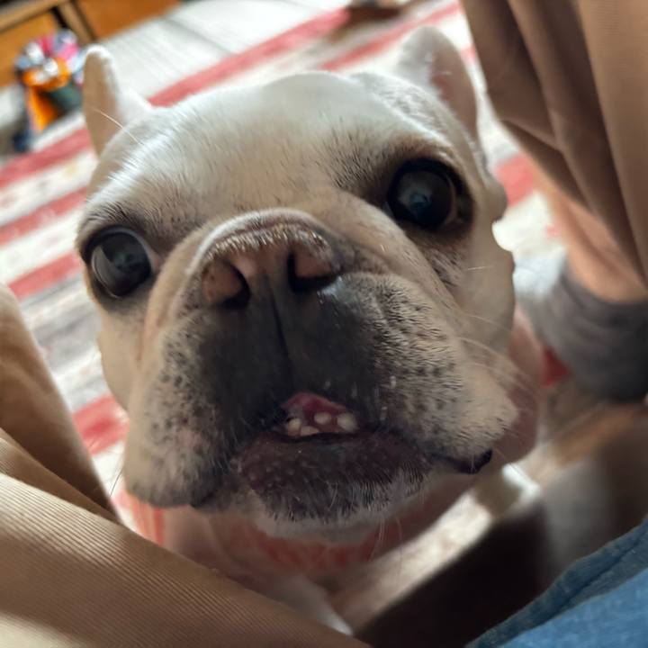 992299e3 cddd 4742 b212 6db92868b7c8 1774050696471