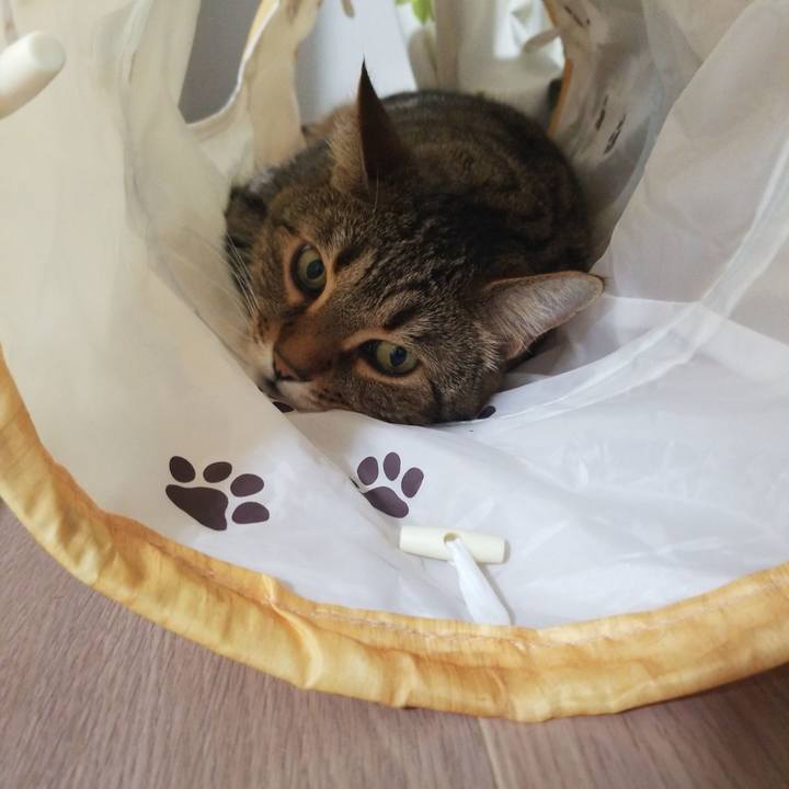 99229d9a 7db1 4c41 a6eb 15b1b12e263d 1593378807343