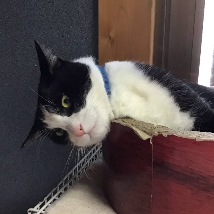 9922b58b 5dd4 4a83 8348 7b33fd826081 1753007046141