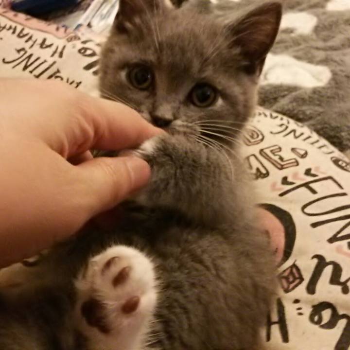 9922ee09 8ba9 4289 9d9b 322a91ea70fa 1530658353355