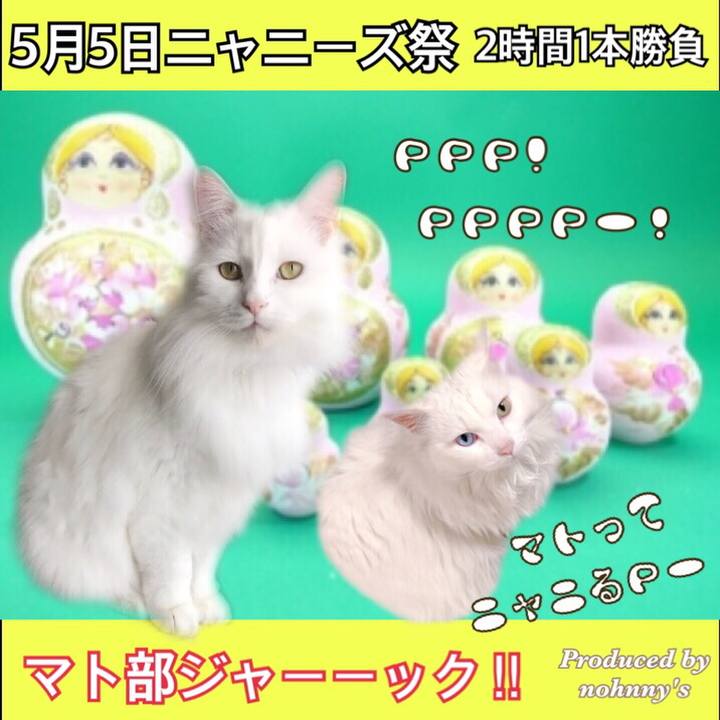 9922fd4c c911 4404 8dc5 4b4204bdf046 1556190749468