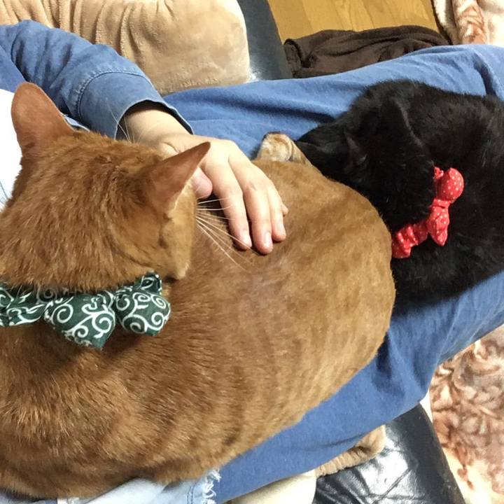 99230fb2 6063 4e40 b116 4c54258aaa5b 1548339078646