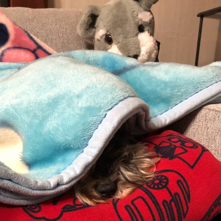 992350f4 4f8b 4231 ba68 4347f457b379 1580297198500